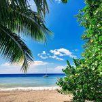Carsrouges.fr | Découvrez le Tourisme en Guadeloupe : Guide Complet et Actuel