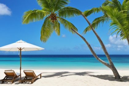 plages martinique