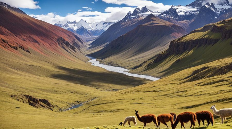 Escapades et randonnées en bolivie