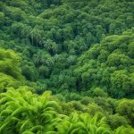 La faune et la flore Nouvelle-Calédonie